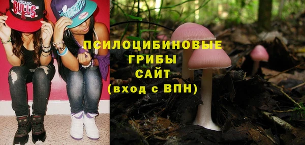 крисы Аркадак