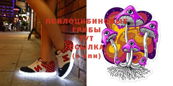 крисы Аркадак