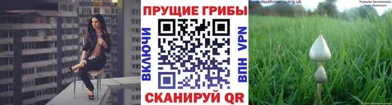 KRAKEN маркетплейс  цены наркотик  Волгореченск  Галлюциногенные грибы прущие грибы 