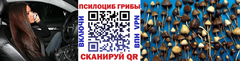 Галлюциногенные грибы ЛСД Волгореченск